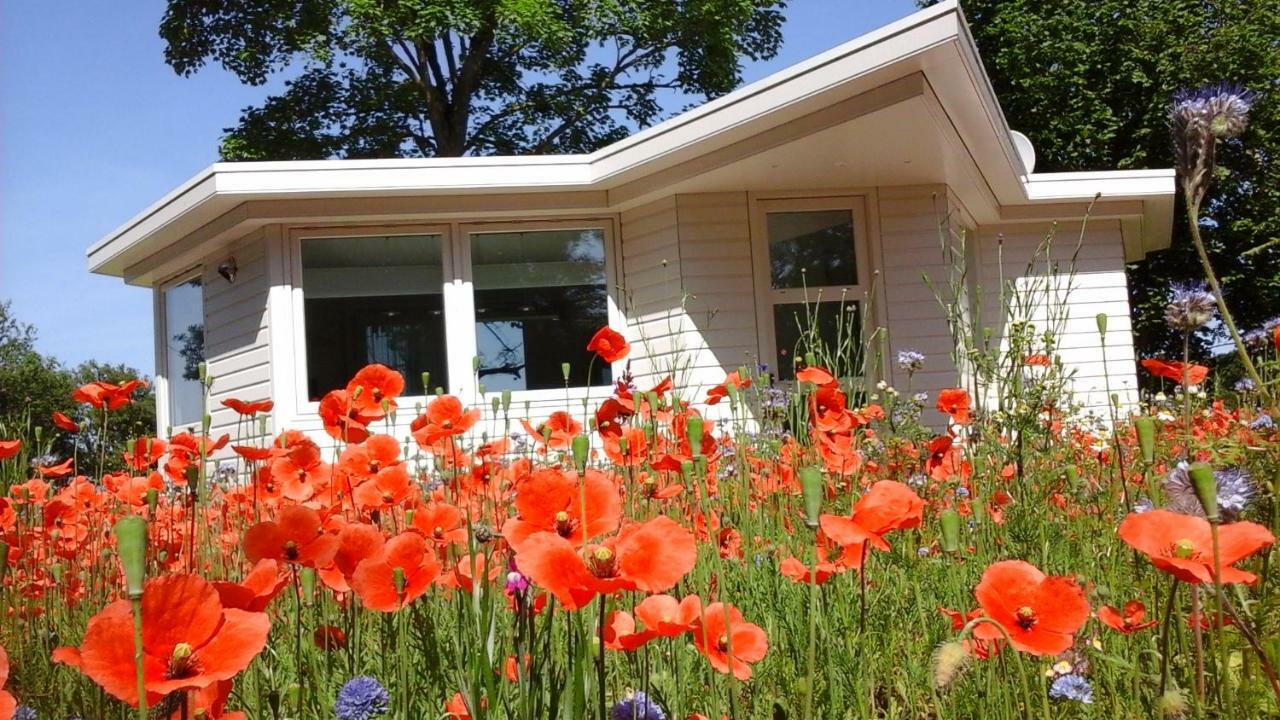Villa Het Findament Tiny House Hilversum Exterior foto